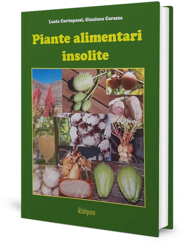 Piente alimentari insolite