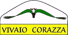 VIVAIO CORAZZA